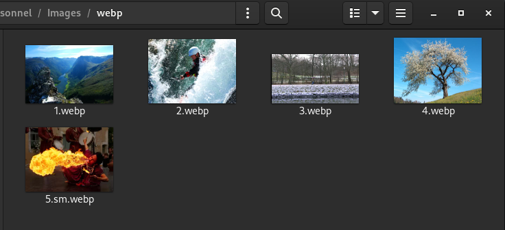 Les miniatures des images s'affichent